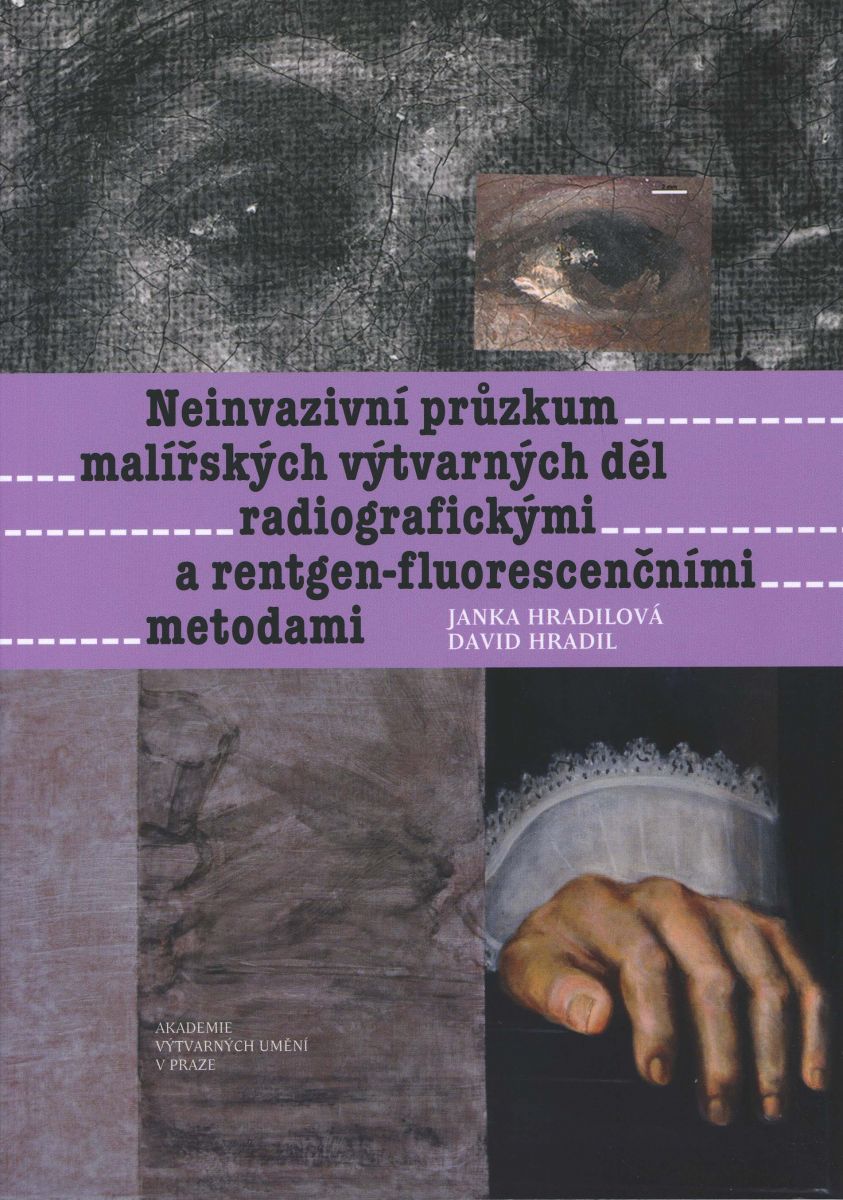 Pruzkum-obalka